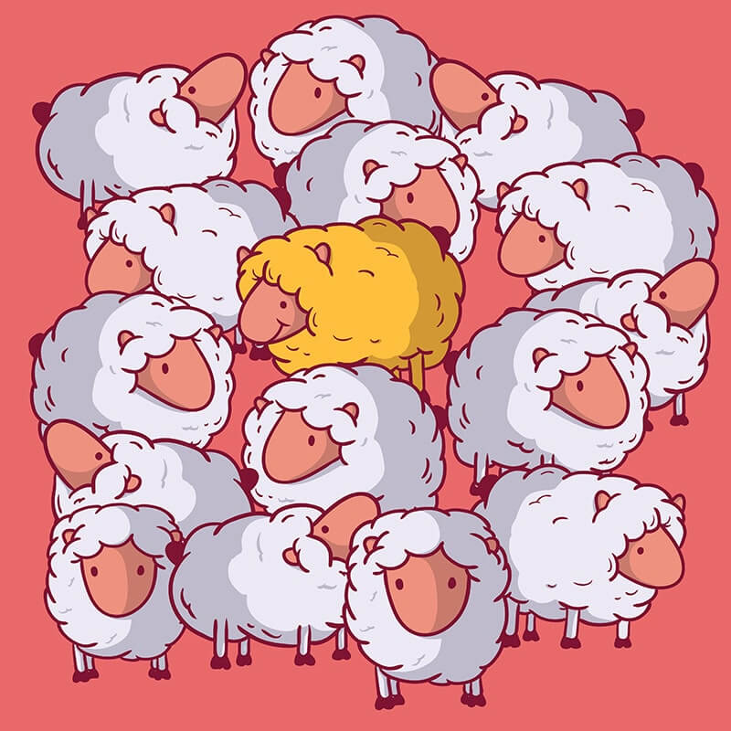 sheep b diggerent-min